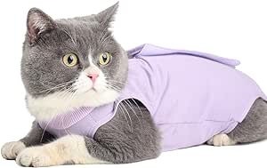 Recovery Suit Cat