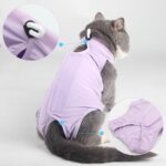 Recovery Suit Cat