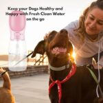 Portable Dog Water Bottle