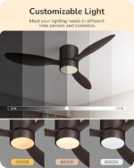 52 Inch Ceiling Fans With Lights